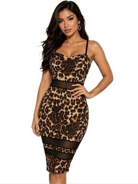 Stillettos Mesh Leopard Print Dress